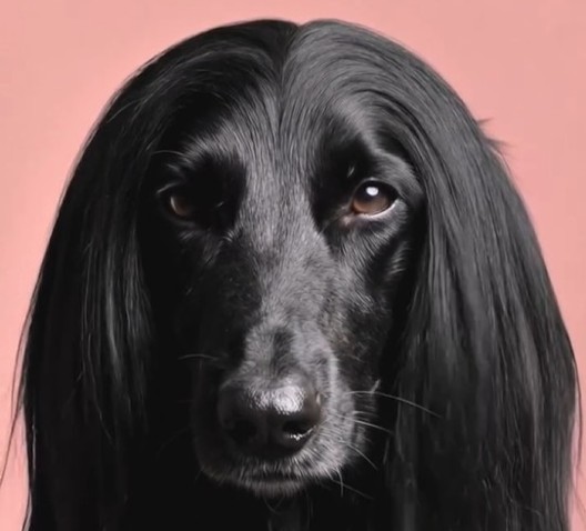 When humour meets strategy: Our roundup of the best April Fools' campaigns of 2026